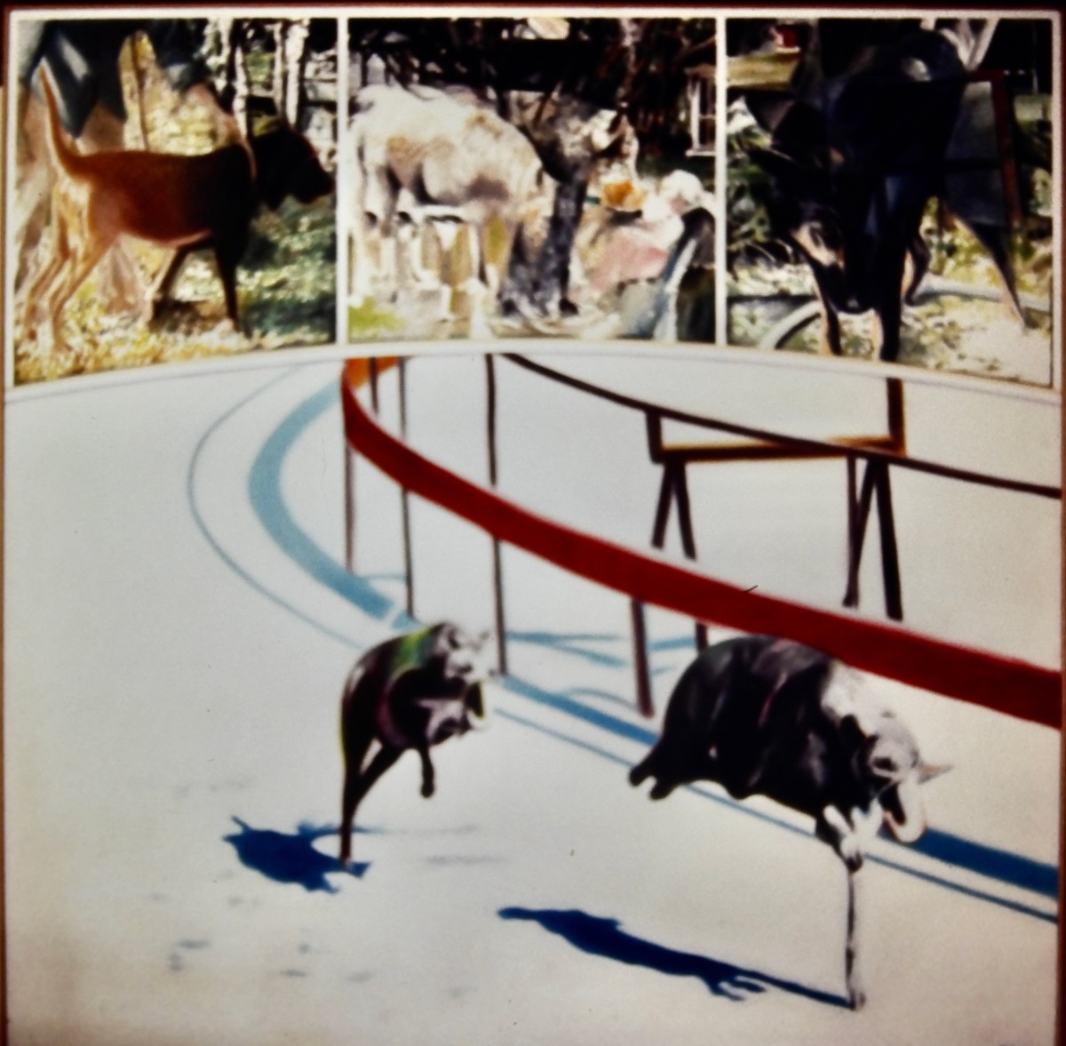 Featured image for “Race”
